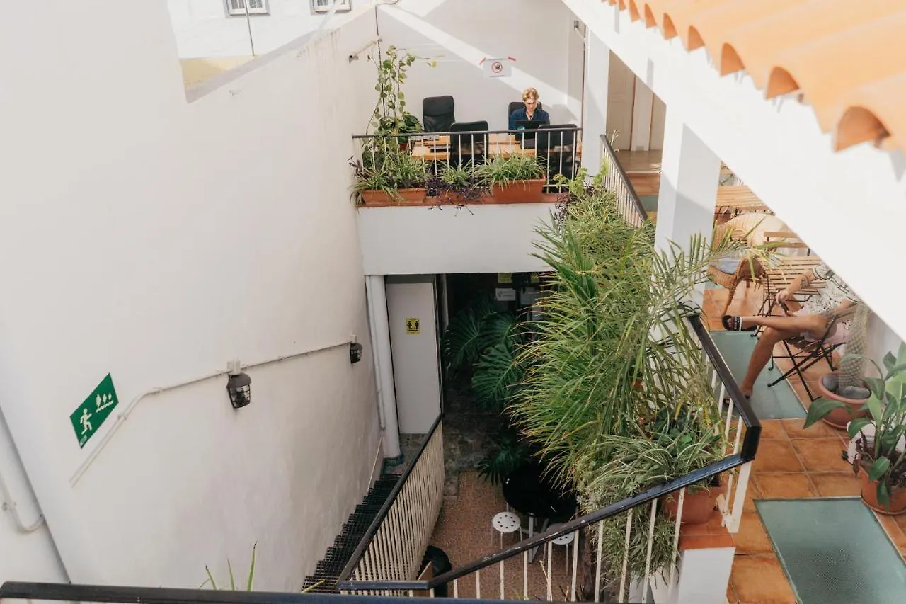 Puerto Nest Hostel Puerto de la Cruz   Puerto de la Cruz (Tenerife)