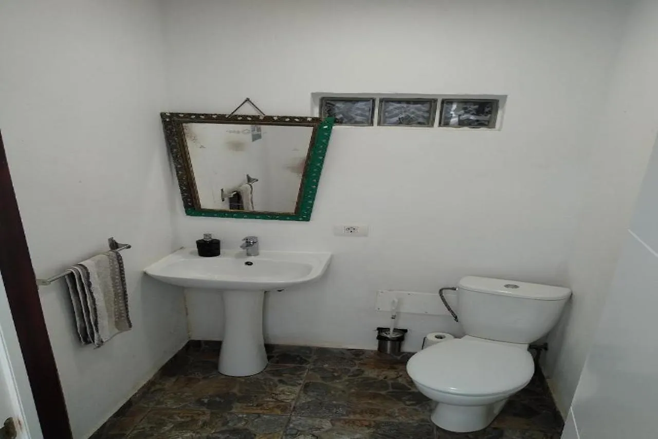 Puerto Nest Hostel Puerto de la Cruz  Puerto de la Cruz (Tenerife)