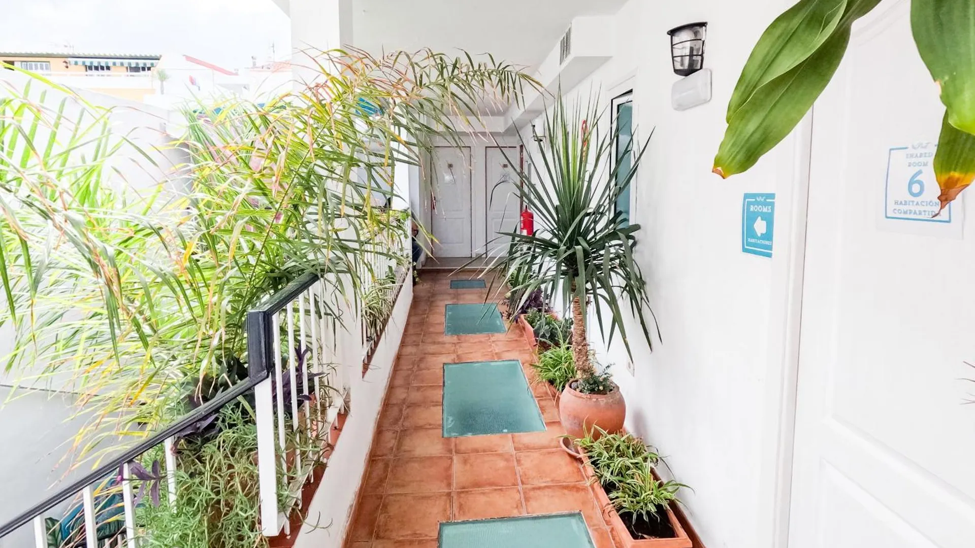 Puerto Nest Hostel Puerto de la Cruz